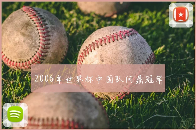 2006年世界杯中国队问鼎冠军