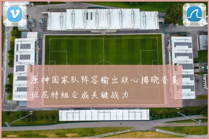 原神国家队阵容输出核心揭晓香菱班尼特组合成关键战力