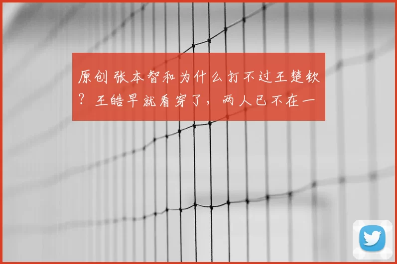 原创 张本智和为什么打不过王楚钦？王皓早就看穿了，两人已不在一个水平