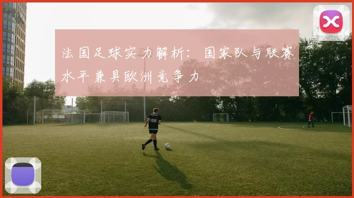 法国足球实力解析：国家队与联赛水平兼具欧洲竞争力