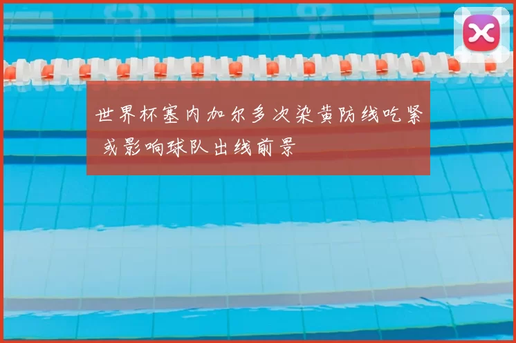 世界杯塞内加尔多次染黄防线吃紧 或影响球队出线前景