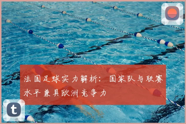 法国足球实力解析：国家队与联赛水平兼具欧洲竞争力