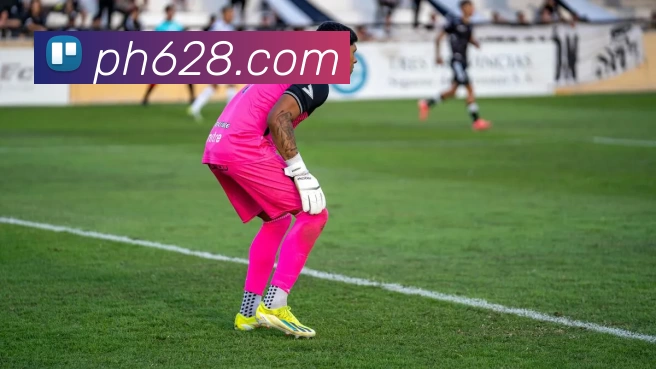 篮球下注服务体系